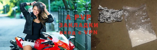 шишки Арсеньев