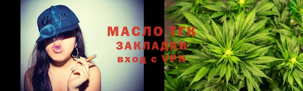 шишки Арсеньев