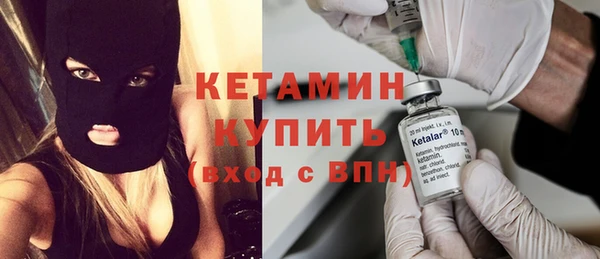 шишки Арсеньев