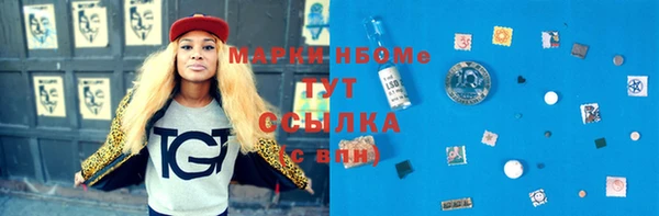 шишки Арсеньев