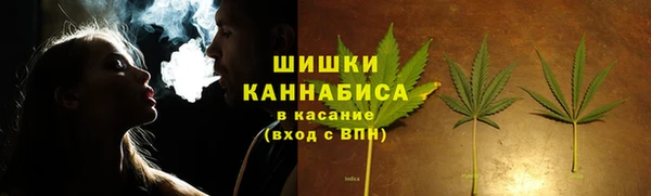 шишки Арсеньев