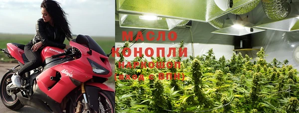 шишки Арсеньев