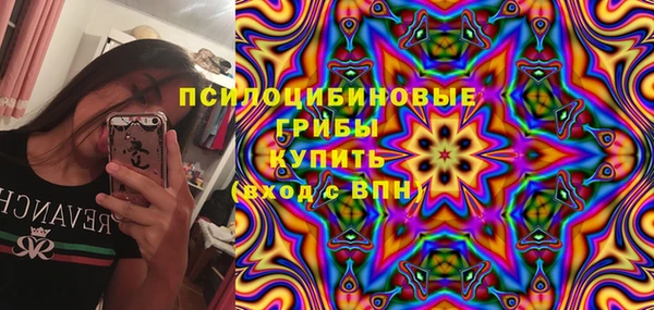 МДПВ Аркадак