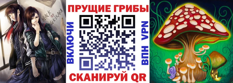 Псилоцибиновые грибы ЛСД  что такое   Сольцы 